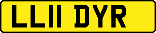 LL11DYR