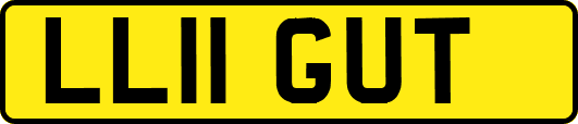 LL11GUT