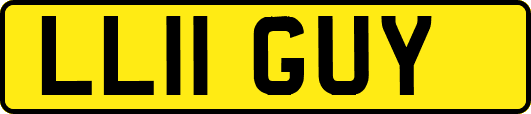 LL11GUY