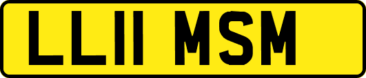 LL11MSM