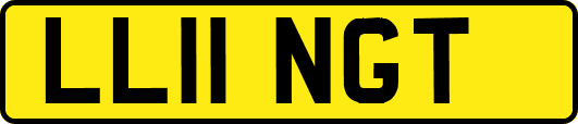 LL11NGT