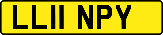 LL11NPY