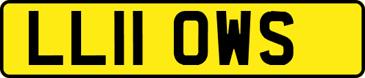 LL11OWS