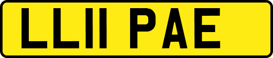 LL11PAE