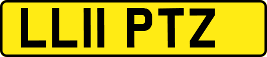 LL11PTZ