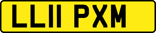 LL11PXM