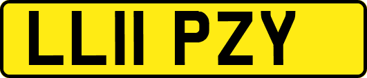 LL11PZY