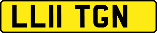 LL11TGN