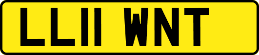LL11WNT