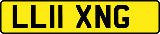 LL11XNG
