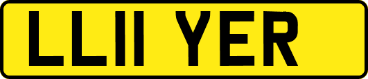 LL11YER