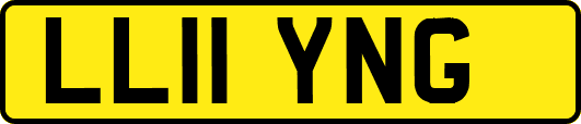 LL11YNG