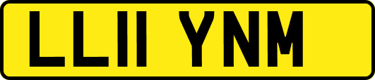 LL11YNM