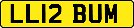 LL12BUM
