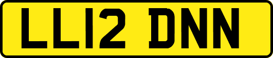 LL12DNN