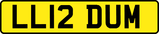 LL12DUM