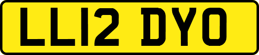 LL12DYO