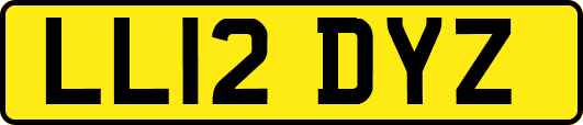 LL12DYZ