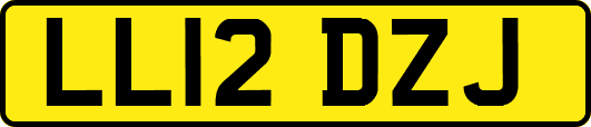 LL12DZJ