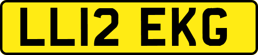 LL12EKG