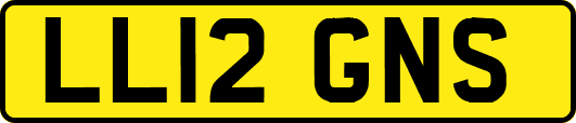 LL12GNS