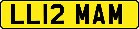 LL12MAM