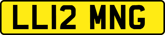 LL12MNG