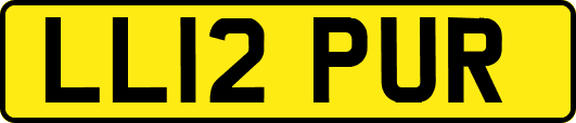 LL12PUR