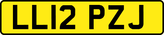 LL12PZJ