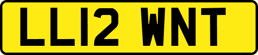 LL12WNT