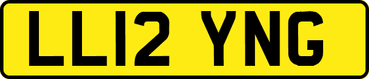 LL12YNG