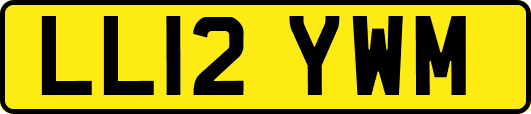 LL12YWM