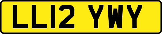 LL12YWY