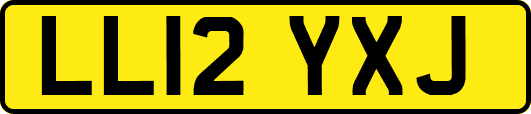 LL12YXJ