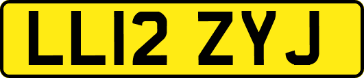 LL12ZYJ