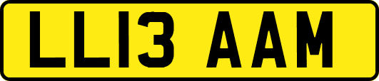 LL13AAM