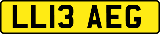 LL13AEG