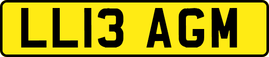 LL13AGM