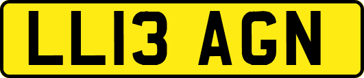 LL13AGN