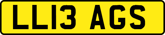 LL13AGS