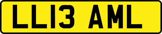 LL13AML