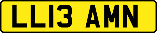 LL13AMN