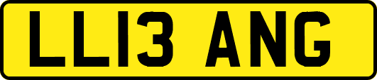 LL13ANG