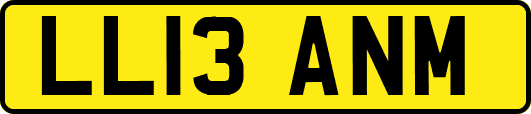 LL13ANM
