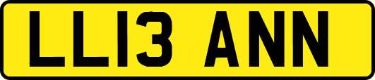 LL13ANN