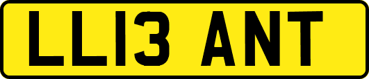 LL13ANT