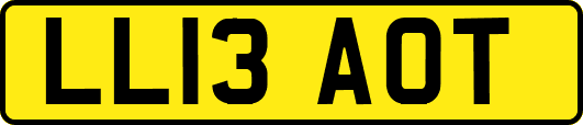 LL13AOT