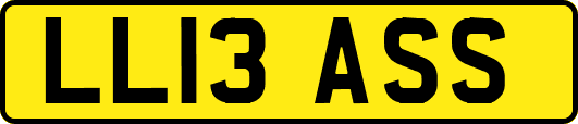 LL13ASS