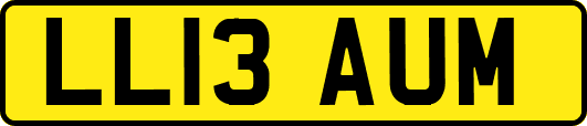 LL13AUM