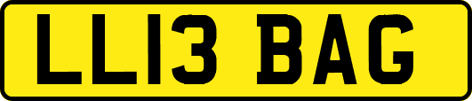 LL13BAG